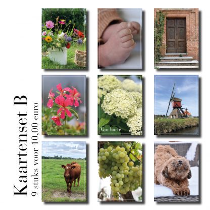 Kaartenset B